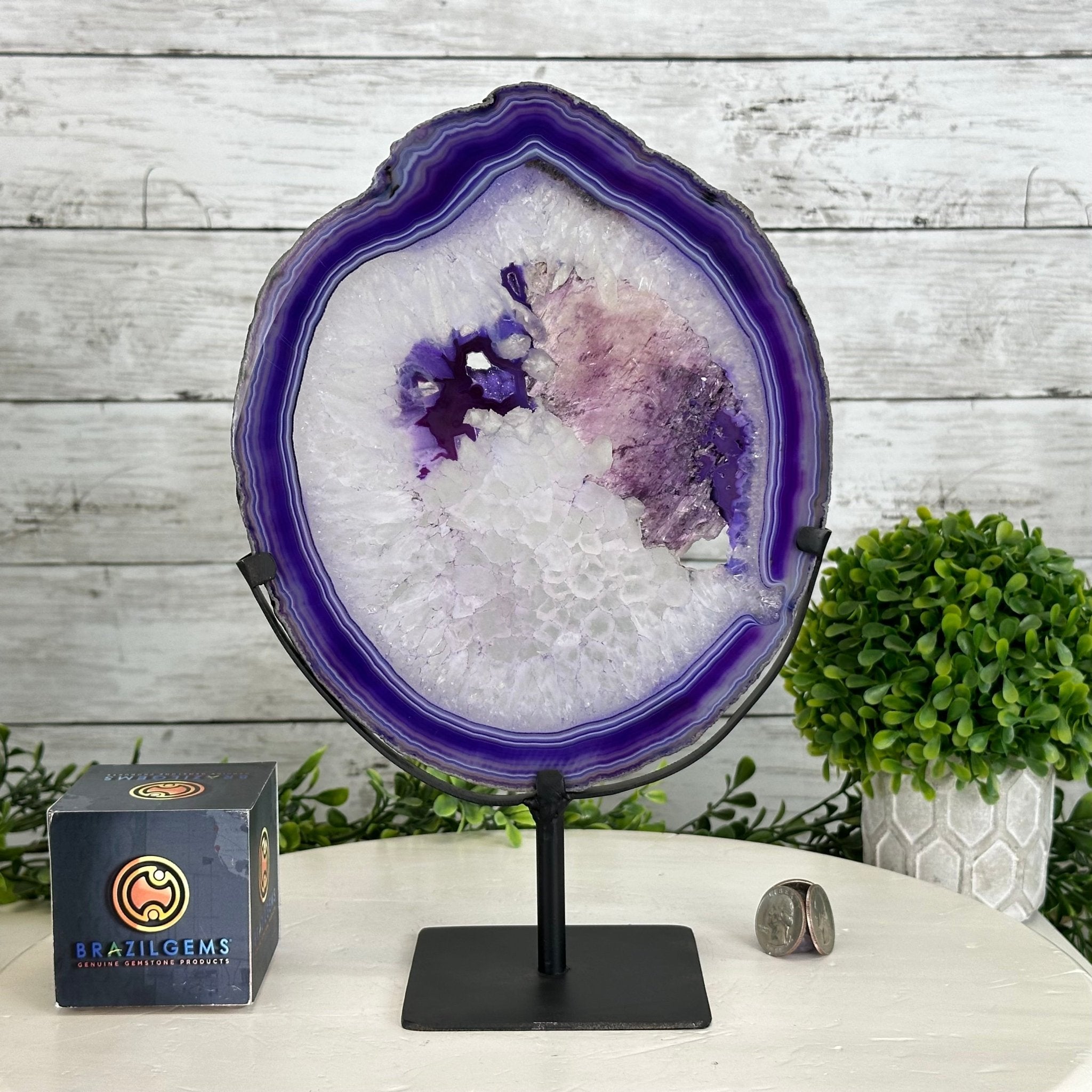 Brazilian Purple Agate Slice on Metal Base, 11.7" Tall #5065PU-047 - Brazil GemsBrazil GemsBrazilian Purple Agate Slice on Metal Base, 11.7" Tall #5065PU-047Slices on Fixed Bases5065PU-047