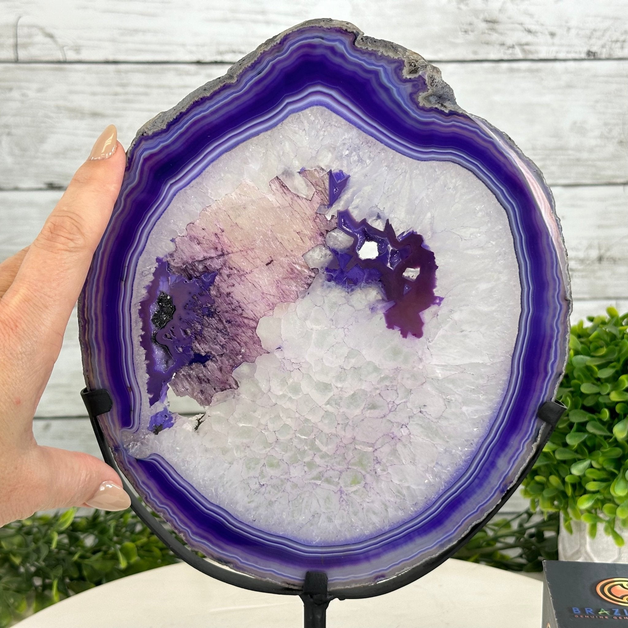 Brazilian Purple Agate Slice on Metal Base, 11.7" Tall #5065PU-047 - Brazil GemsBrazil GemsBrazilian Purple Agate Slice on Metal Base, 11.7" Tall #5065PU-047Slices on Fixed Bases5065PU-047