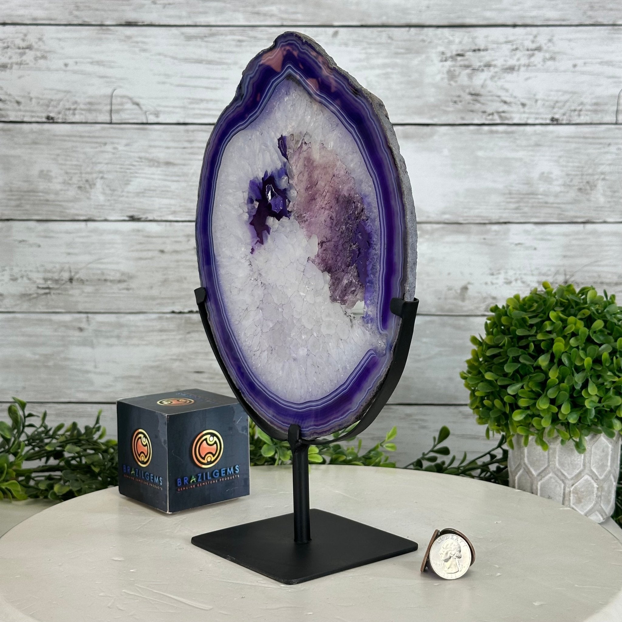 Brazilian Purple Agate Slice on Metal Base, 11.7" Tall #5065PU-047 - Brazil GemsBrazil GemsBrazilian Purple Agate Slice on Metal Base, 11.7" Tall #5065PU-047Slices on Fixed Bases5065PU-047
