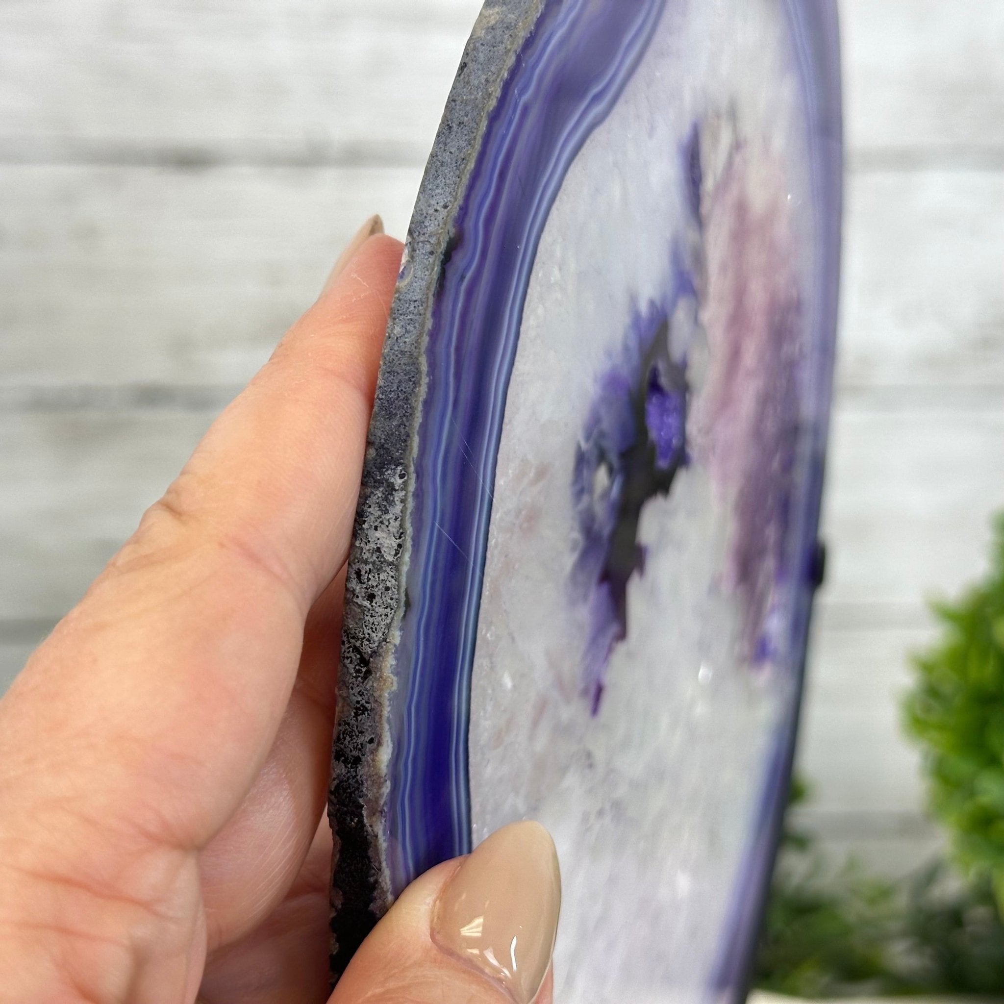 Brazilian Purple Agate Slice on Metal Base, 11.7" Tall #5065PU-047 - Brazil GemsBrazil GemsBrazilian Purple Agate Slice on Metal Base, 11.7" Tall #5065PU-047Slices on Fixed Bases5065PU-047