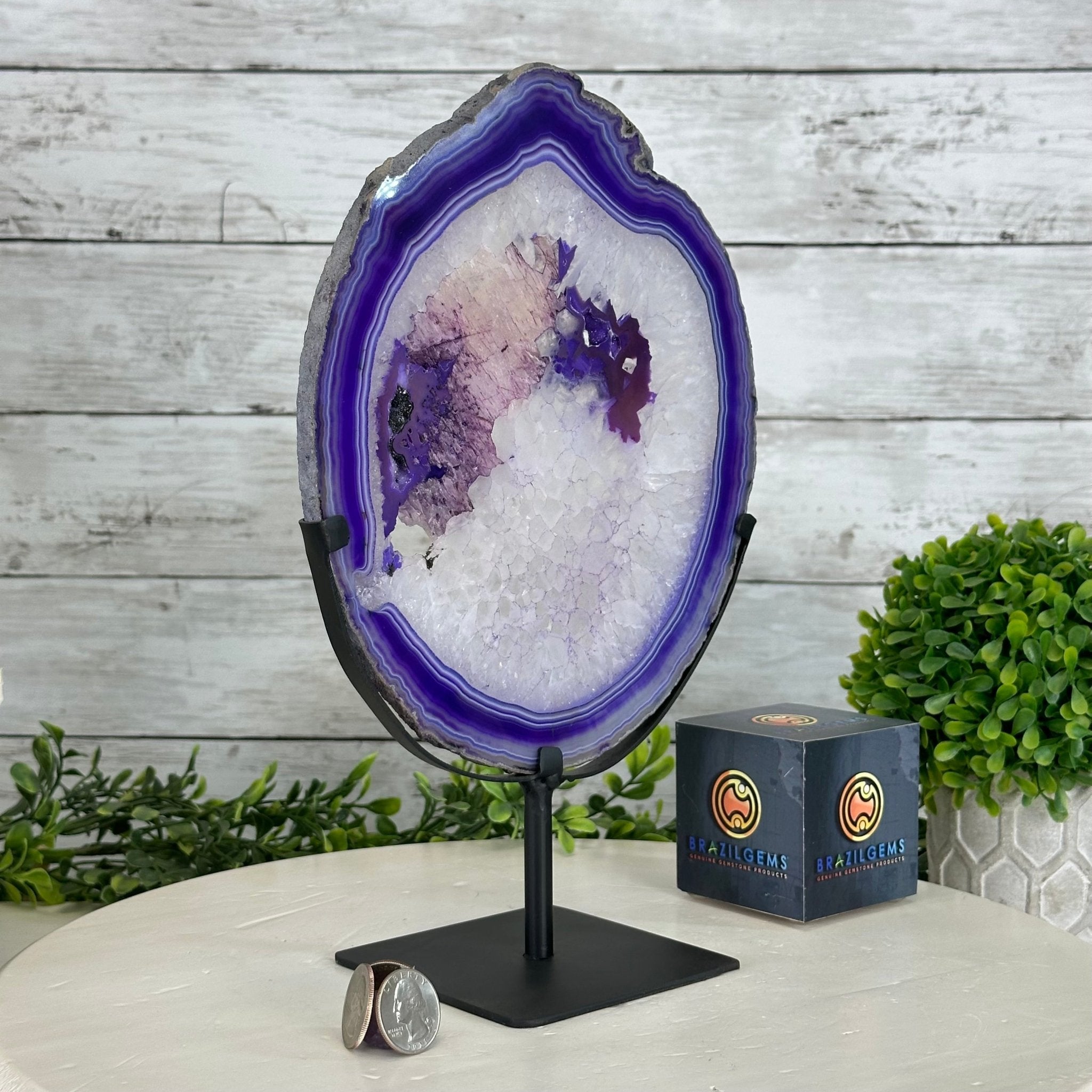 Brazilian Purple Agate Slice on Metal Base, 11.7" Tall #5065PU-047 - Brazil GemsBrazil GemsBrazilian Purple Agate Slice on Metal Base, 11.7" Tall #5065PU-047Slices on Fixed Bases5065PU-047