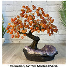 Carnelian 14" Tall Handmade Gemstone Tree on a Crystal base, 180 Gems #5404CARN - Brazil GemsBrazil GemsCarnelian 14" Tall Handmade Gemstone Tree on a Crystal base, 180 Gems #5404CARNGemstone Trees5404CARN