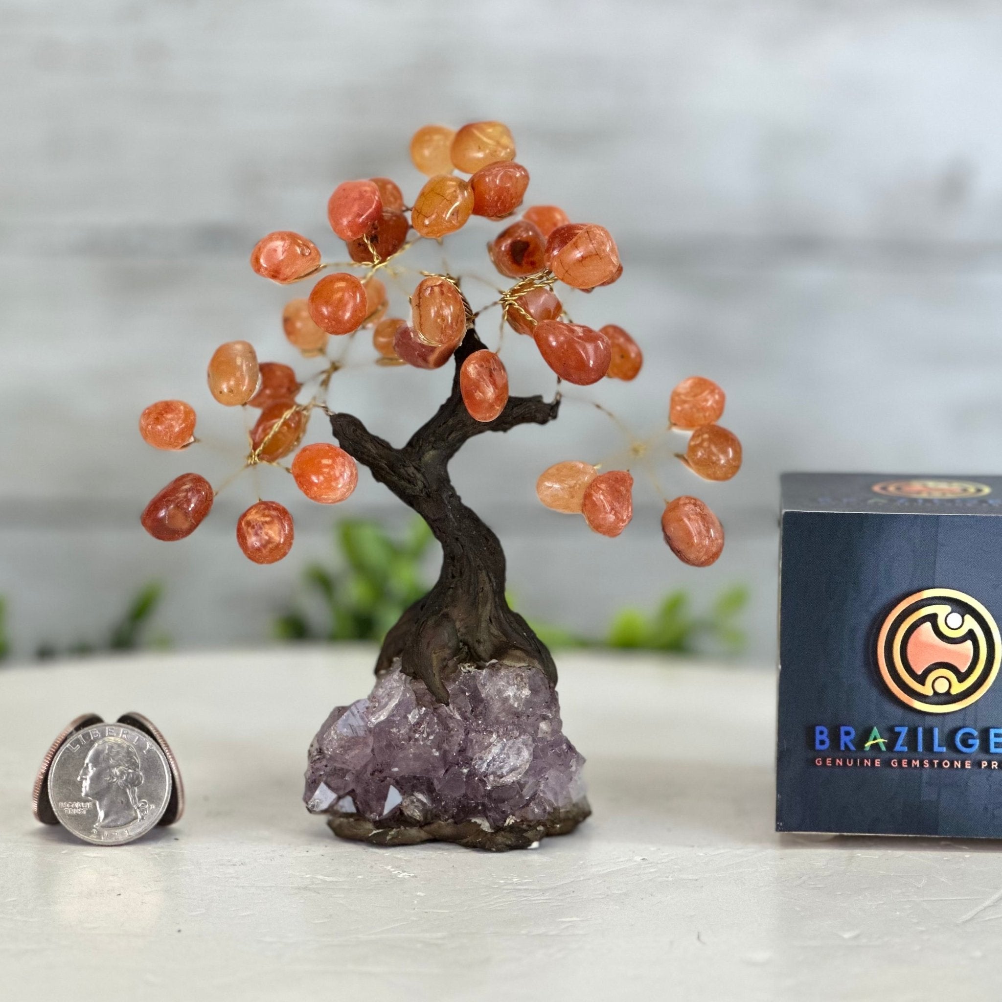 Carnelian 5" Tall Handmade Gemstone Tree on a Crystal base, 35 Gems #5401CARN - Brazil GemsBrazil GemsCarnelian 5" Tall Handmade Gemstone Tree on a Crystal base, 35 Gems #5401CARNGemstone Trees5401CARN