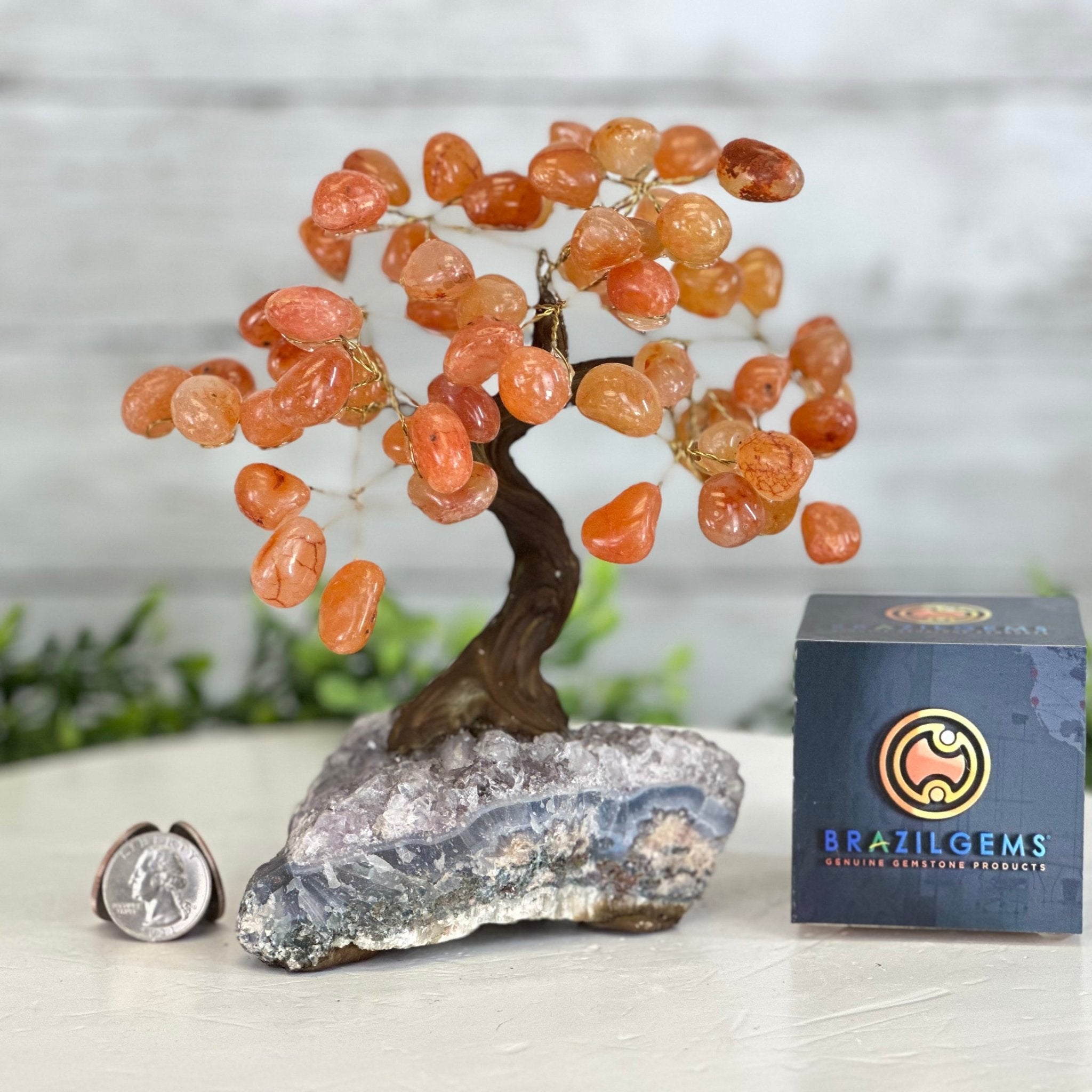 Carnelian 7" Tall Handmade Gemstone Tree on a Crystal base, 60 Gems #5402CARN - Brazil GemsBrazil GemsCarnelian 7" Tall Handmade Gemstone Tree on a Crystal base, 60 Gems #5402CARNGemstone Trees5402CARN