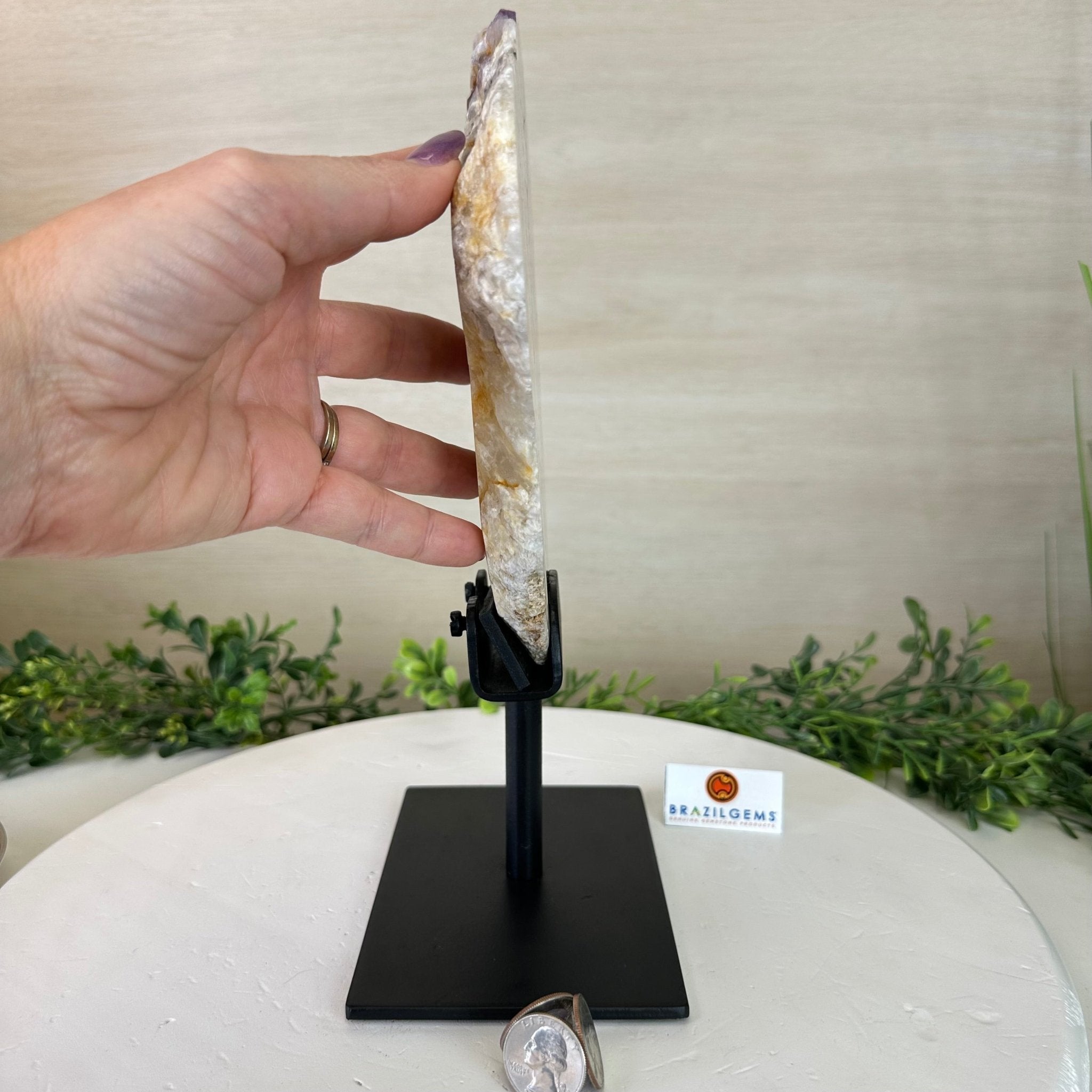 Chevron Amethyst Crystal Slice on a Stand, 4.1 lbs & 11.9" Tall #5621AC - 001 - Brazil GemsBrazil GemsChevron Amethyst Crystal Slice on a Stand, 4.1 lbs & 11.9" Tall #5621AC - 001Slices on Fixed Bases5621AC - 001
