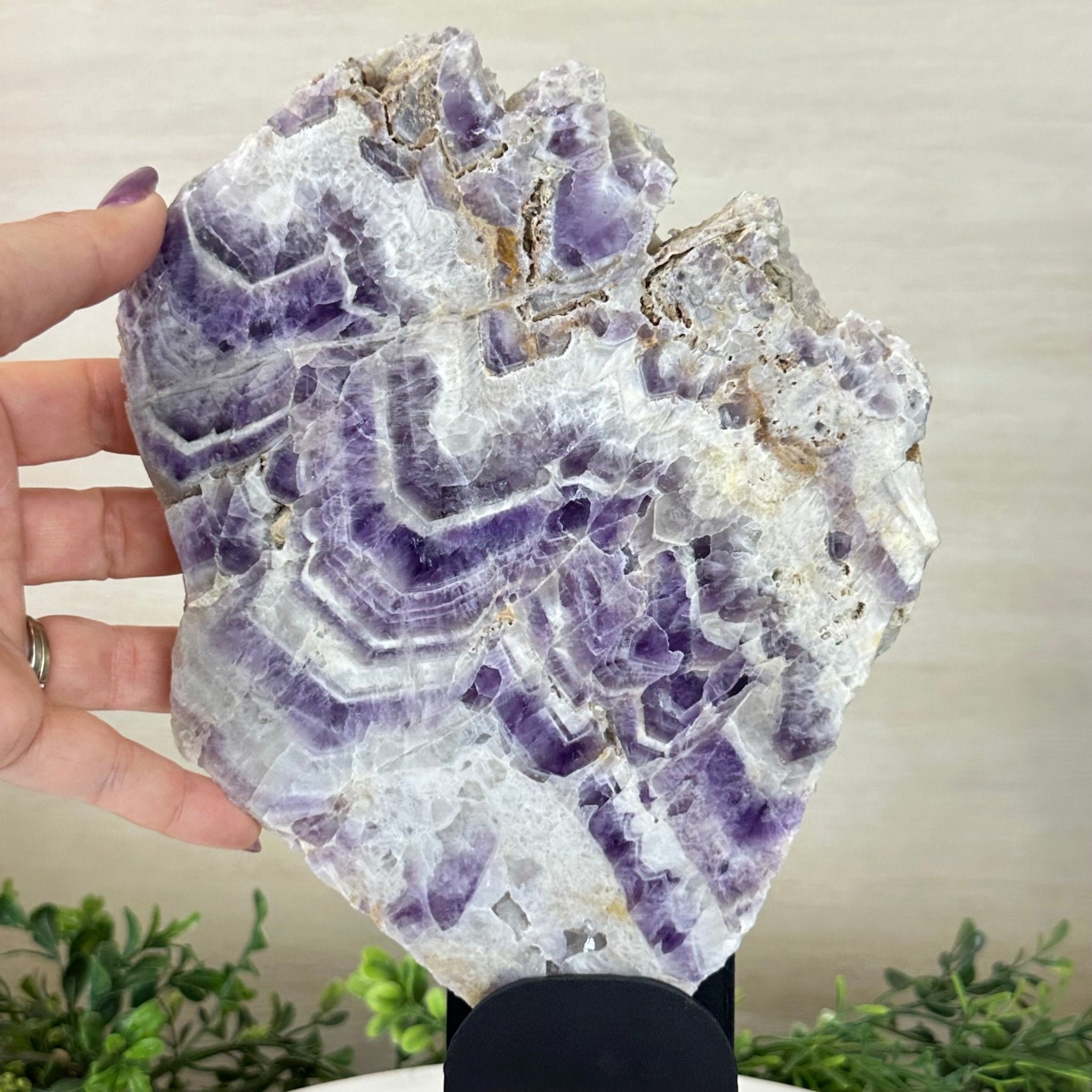 Chevron Amethyst Crystal Slice on a Stand, 4.2 lbs & 12.7" Tall #5621AC - 005 - Brazil GemsBrazil GemsChevron Amethyst Crystal Slice on a Stand, 4.2 lbs & 12.7" Tall #5621AC - 005Slices on Fixed Bases5621AC - 005
