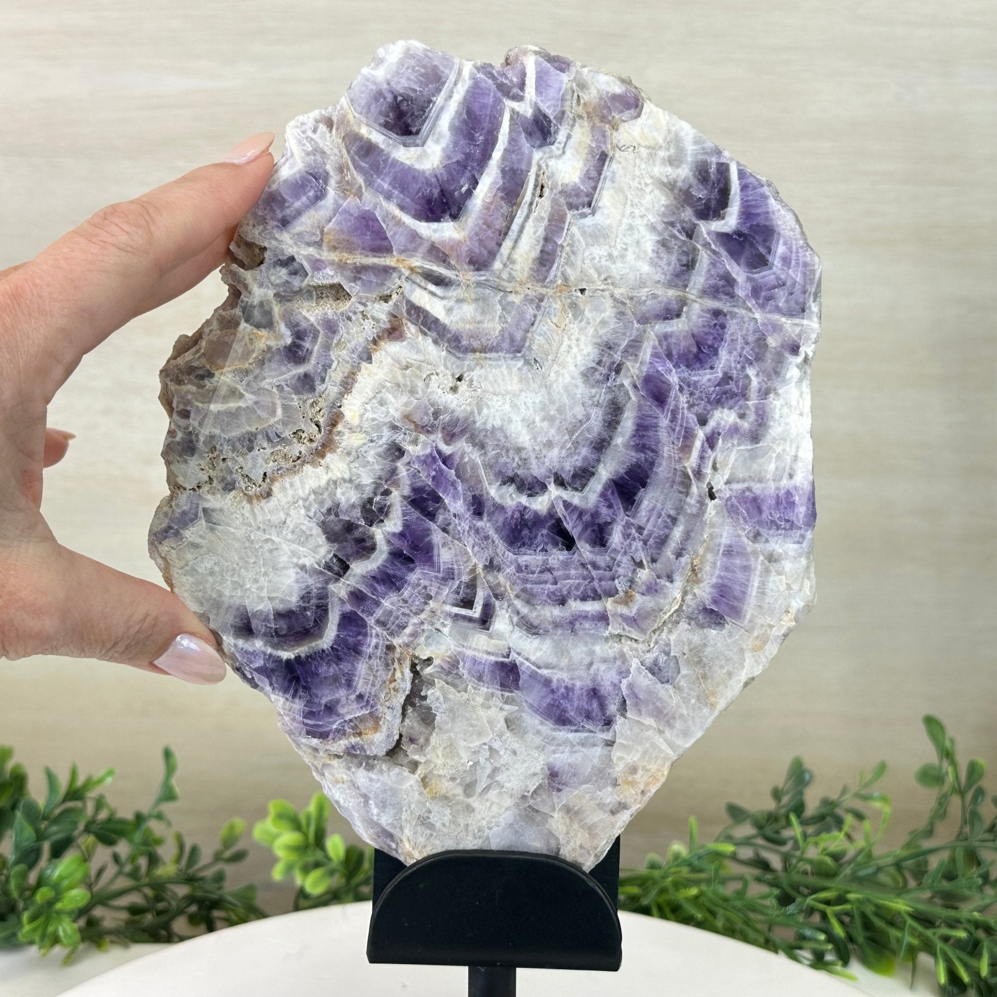 Chevron Amethyst Crystal Slice on a Stand, 4.3 lbs & 12.7" Tall #5621AC - 008 - Brazil GemsBrazil GemsChevron Amethyst Crystal Slice on a Stand, 4.3 lbs & 12.7" Tall #5621AC - 008Slices on Fixed Bases5621AC - 008