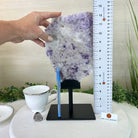 Chevron Amethyst Crystal Slice on a Stand, 4.6 lbs & 12.7" Tall #5621AC - 011 - Brazil GemsBrazil GemsChevron Amethyst Crystal Slice on a Stand, 4.6 lbs & 12.7" Tall #5621AC - 011Slices on Fixed Bases5621AC - 011