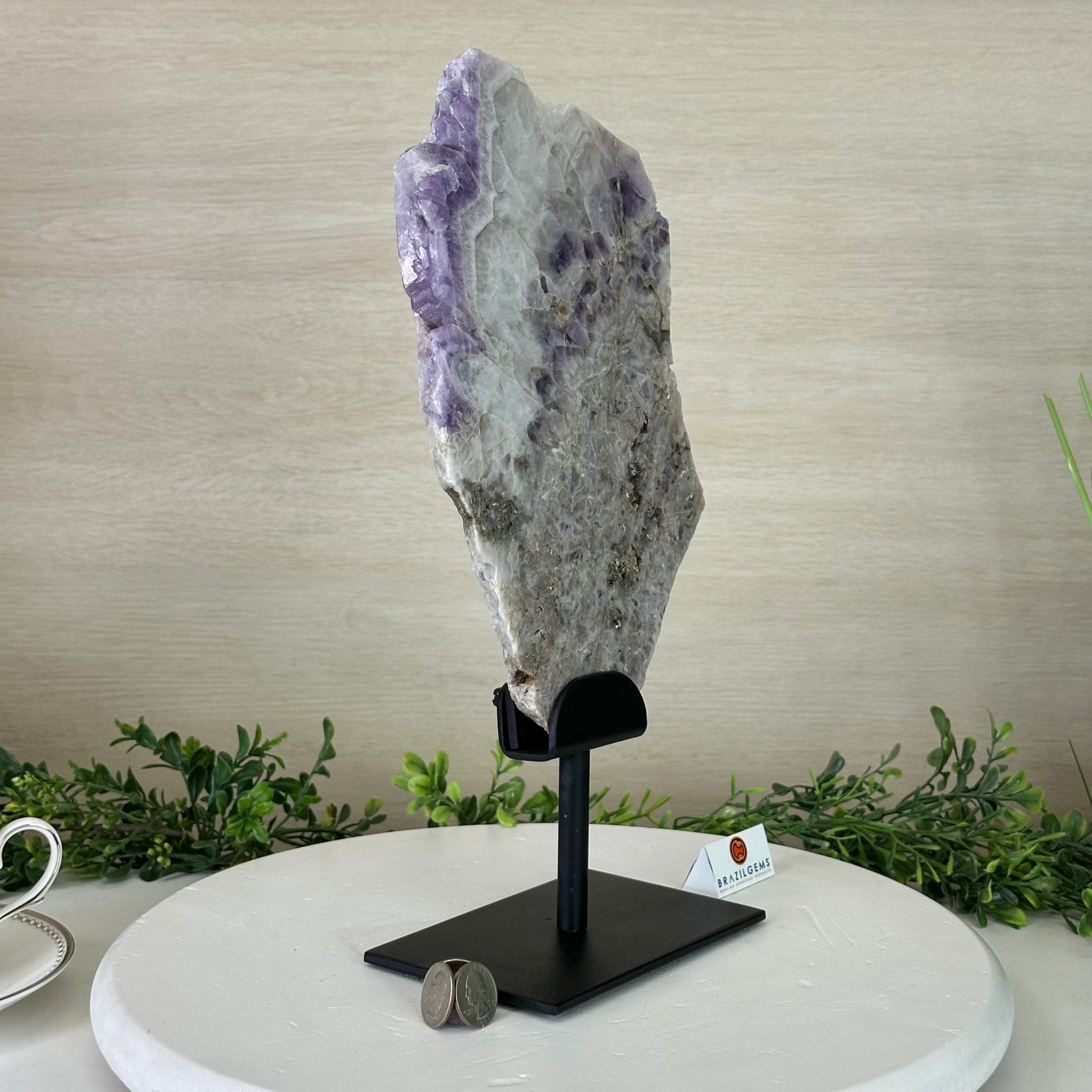 Chevron Amethyst Crystal Slice on a Stand, 4.7 lbs & 14.6" Tall #5621AC - 012 - Brazil GemsBrazil GemsChevron Amethyst Crystal Slice on a Stand, 4.7 lbs & 14.6" Tall #5621AC - 012Slices on Fixed Bases5621AC - 012