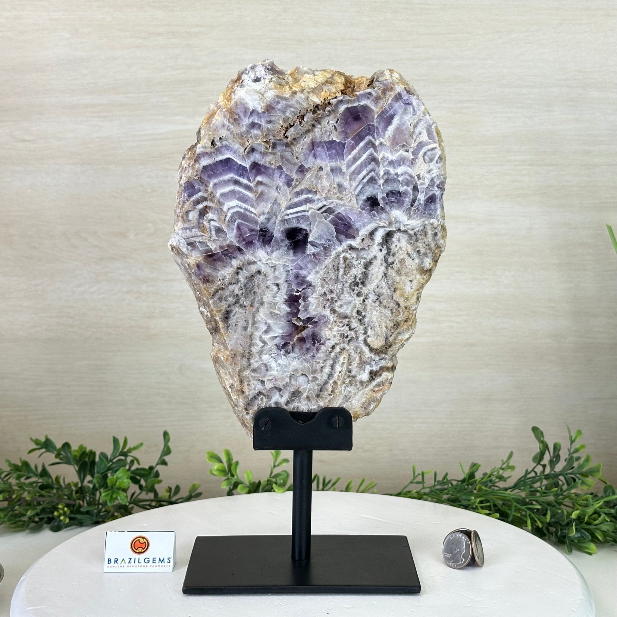 Chevron Amethyst Crystal Slice on a Stand, 4.9 lbs & 13.2" Tall #5621AC - 015 - Brazil GemsBrazil GemsChevron Amethyst Crystal Slice on a Stand, 4.9 lbs & 13.2" Tall #5621AC - 015Slices on Fixed Bases5621AC - 015
