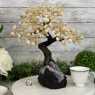 Citrine 14" Tall Handmade Gemstone Tree on a Crystal base, 180 Gems #5404CITR - Brazil GemsBrazil GemsCitrine 14" Tall Handmade Gemstone Tree on a Crystal base, 180 Gems #5404CITRGemstone Trees5404CITR