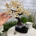 Citrine 14" Tall Handmade Gemstone Tree on a Crystal base, 180 Gems #5404CITR - Brazil GemsBrazil GemsCitrine 14" Tall Handmade Gemstone Tree on a Crystal base, 180 Gems #5404CITRGemstone Trees5404CITR