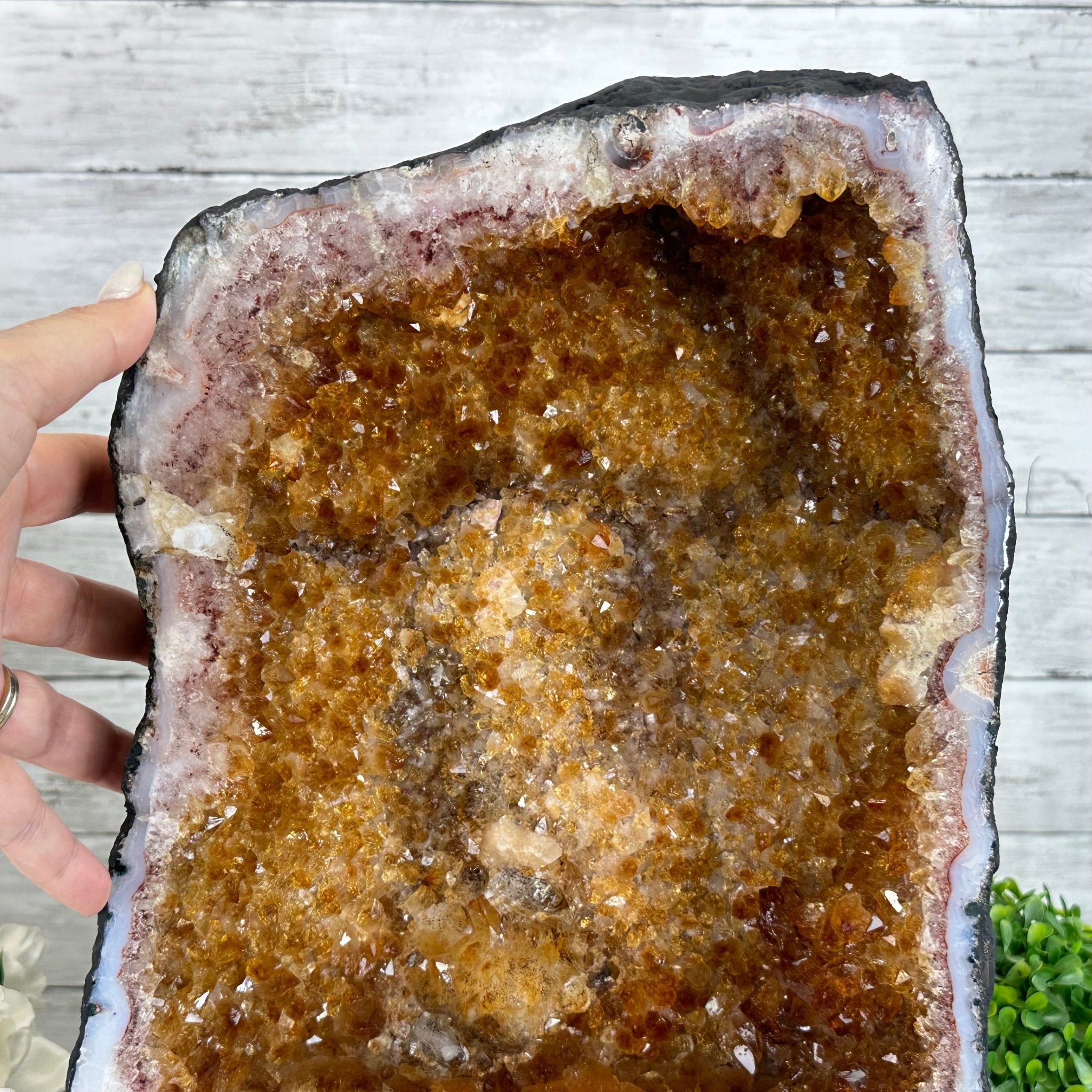 Citrine Cathedral, 53.5 lbs & 17.3" Tall #5603-0337 - Brazil GemsBrazil GemsCitrine Cathedral, 53.5 lbs & 17.3" Tall #5603-0337Cathedrals5603-0337