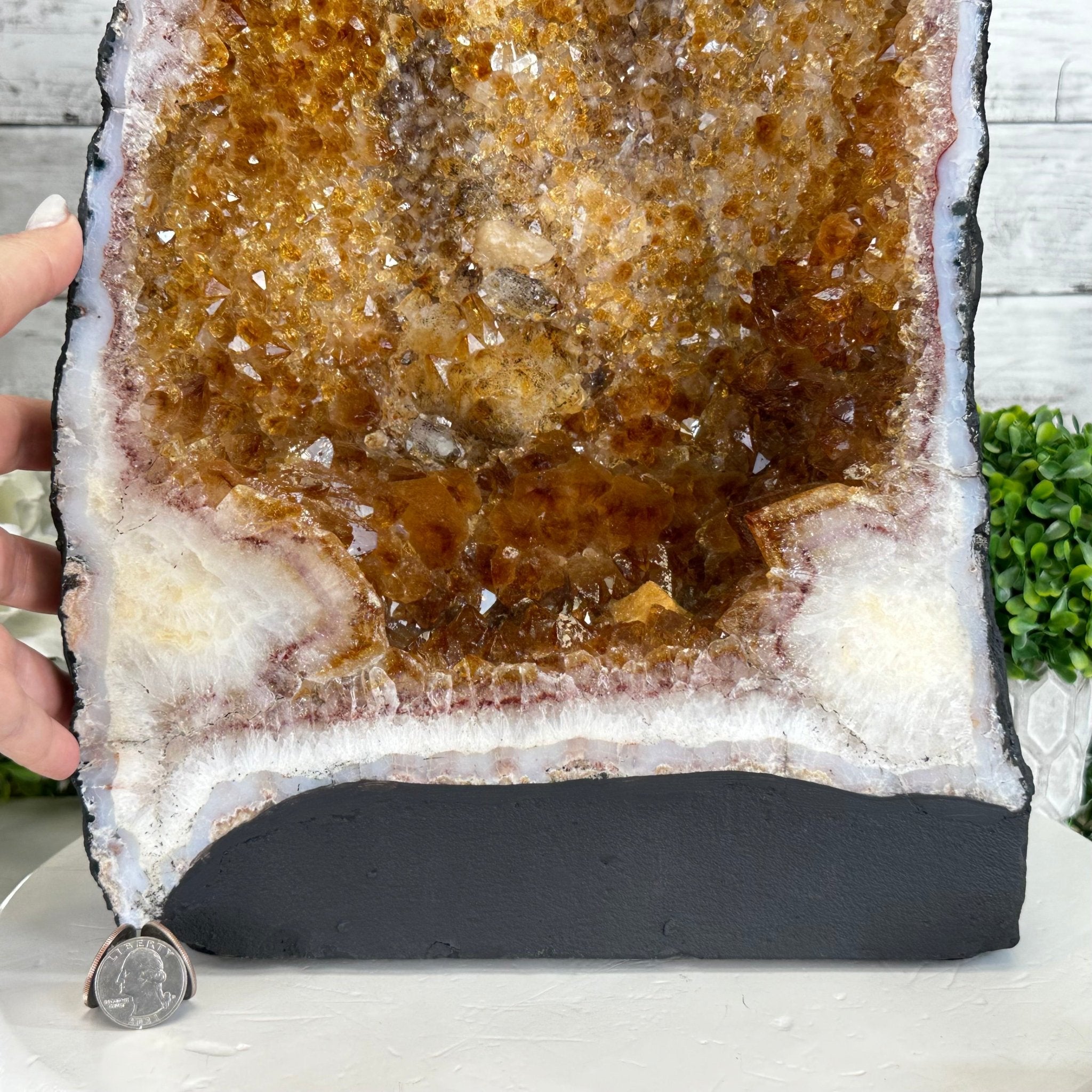 Citrine Cathedral, 53.5 lbs & 17.3" Tall #5603-0337 - Brazil GemsBrazil GemsCitrine Cathedral, 53.5 lbs & 17.3" Tall #5603-0337Cathedrals5603-0337
