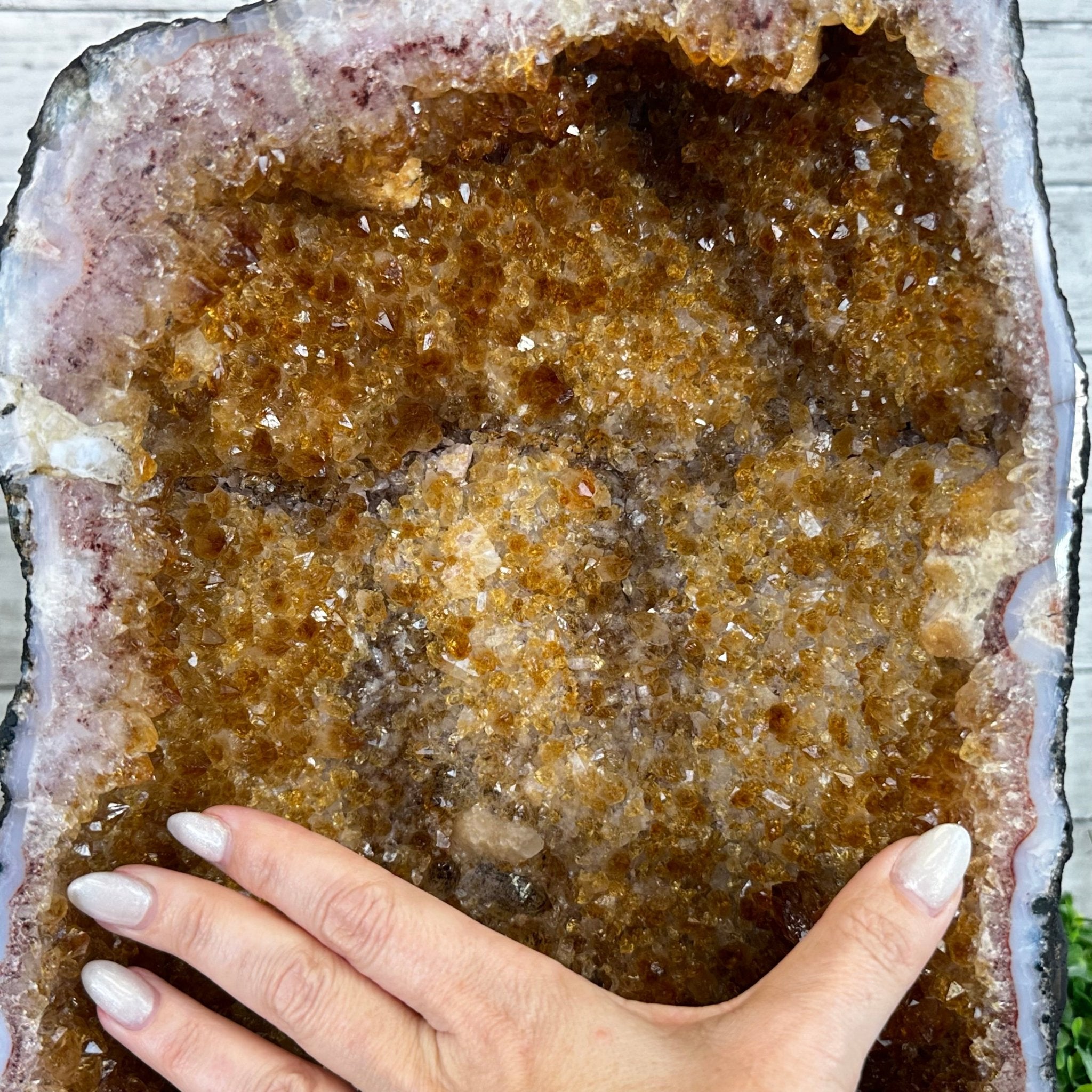 Citrine Cathedral, 53.5 lbs & 17.3" Tall #5603-0337 - Brazil GemsBrazil GemsCitrine Cathedral, 53.5 lbs & 17.3" Tall #5603-0337Cathedrals5603-0337
