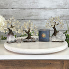 Clear Quartz 5" Tall Handmade Gemstone Tree on a Crystal base, 35 Gems #5401CLRQ - Brazil GemsBrazil GemsClear Quartz 5" Tall Handmade Gemstone Tree on a Crystal base, 35 Gems #5401CLRQGemstone Trees5401CLRQ