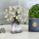 Clear Quartz 5" Tall Handmade Gemstone Tree on a Crystal base, 35 Gems #5401CLRQ - Brazil GemsBrazil GemsClear Quartz 5" Tall Handmade Gemstone Tree on a Crystal base, 35 Gems #5401CLRQGemstone Trees5401CLRQ