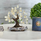 Clear Quartz 5" Tall Handmade Gemstone Tree on a Crystal base, 35 Gems #5401CLRQ - Brazil GemsBrazil GemsClear Quartz 5" Tall Handmade Gemstone Tree on a Crystal base, 35 Gems #5401CLRQGemstone Trees5401CLRQ