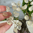 Clear Quartz 5" Tall Handmade Gemstone Tree on a Crystal base, 35 Gems #5401CLRQ - Brazil GemsBrazil GemsClear Quartz 5" Tall Handmade Gemstone Tree on a Crystal base, 35 Gems #5401CLRQGemstone Trees5401CLRQ