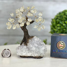 Clear Quartz 5" Tall Handmade Gemstone Tree on a Crystal base, 35 Gems #5401CLRQ - Brazil GemsBrazil GemsClear Quartz 5" Tall Handmade Gemstone Tree on a Crystal base, 35 Gems #5401CLRQGemstone Trees5401CLRQ