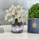 Clear Quartz 5" Tall Handmade Gemstone Tree on a Crystal base, 35 Gems #5401CLRQ - Brazil GemsBrazil GemsClear Quartz 5" Tall Handmade Gemstone Tree on a Crystal base, 35 Gems #5401CLRQGemstone Trees5401CLRQ