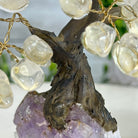Clear Quartz 5" Tall Handmade Gemstone Tree on a Crystal base, 35 Gems #5401CLRQ - Brazil GemsBrazil GemsClear Quartz 5" Tall Handmade Gemstone Tree on a Crystal base, 35 Gems #5401CLRQGemstone Trees5401CLRQ