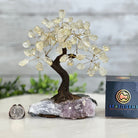 Clear Quartz 7" Tall Handmade Gemstone Tree on a Crystal base, 60 Gems #5402CLRQ - Brazil GemsBrazil GemsClear Quartz 7" Tall Handmade Gemstone Tree on a Crystal base, 60 Gems #5402CLRQGemstone Trees5402CLRQ