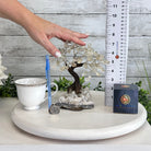 Clear Quartz 7" Tall Handmade Gemstone Tree on a Crystal base, 60 Gems #5402CLRQ - Brazil GemsBrazil GemsClear Quartz 7" Tall Handmade Gemstone Tree on a Crystal base, 60 Gems #5402CLRQGemstone Trees5402CLRQ