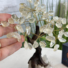Clear Quartz 7" Tall Handmade Gemstone Tree on a Crystal base, 60 Gems #5402CLRQ - Brazil GemsBrazil GemsClear Quartz 7" Tall Handmade Gemstone Tree on a Crystal base, 60 Gems #5402CLRQGemstone Trees5402CLRQ