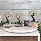 Clear Quartz 7" Tall Handmade Gemstone Tree on a Crystal base, 60 Gems #5402CLRQ - Brazil GemsBrazil GemsClear Quartz 7" Tall Handmade Gemstone Tree on a Crystal base, 60 Gems #5402CLRQGemstone Trees5402CLRQ