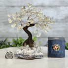 Clear Quartz 7" Tall Handmade Gemstone Tree on a Crystal base, 60 Gems #5402CLRQ - Brazil GemsBrazil GemsClear Quartz 7" Tall Handmade Gemstone Tree on a Crystal base, 60 Gems #5402CLRQGemstone Trees5402CLRQ