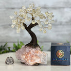 Clear Quartz 7" Tall Handmade Gemstone Tree on a Crystal base, 60 Gems #5402CLRQ - Brazil GemsBrazil GemsClear Quartz 7" Tall Handmade Gemstone Tree on a Crystal base, 60 Gems #5402CLRQGemstone Trees5402CLRQ