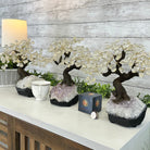 Clear Quartz 9" Tall Handmade Gemstone Tree on a Crystal base, 120 Gems #5403CLRQ - Brazil GemsBrazil GemsClear Quartz 9" Tall Handmade Gemstone Tree on a Crystal base, 120 Gems #5403CLRQGemstone Trees5403CLRQ