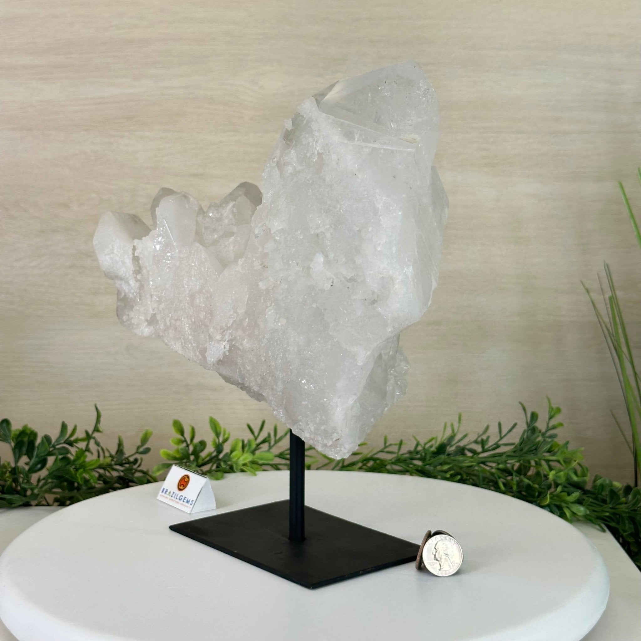 Clear Quartz Crystal Point on a Metal Stand, 13.6 lbs & 11.6" Tall #3122CQ - 037 - Brazil GemsBrazil GemsClear Quartz Crystal Point on a Metal Stand, 13.6 lbs & 11.6" Tall #3122CQ - 037Crystal Points3122CQ - 037