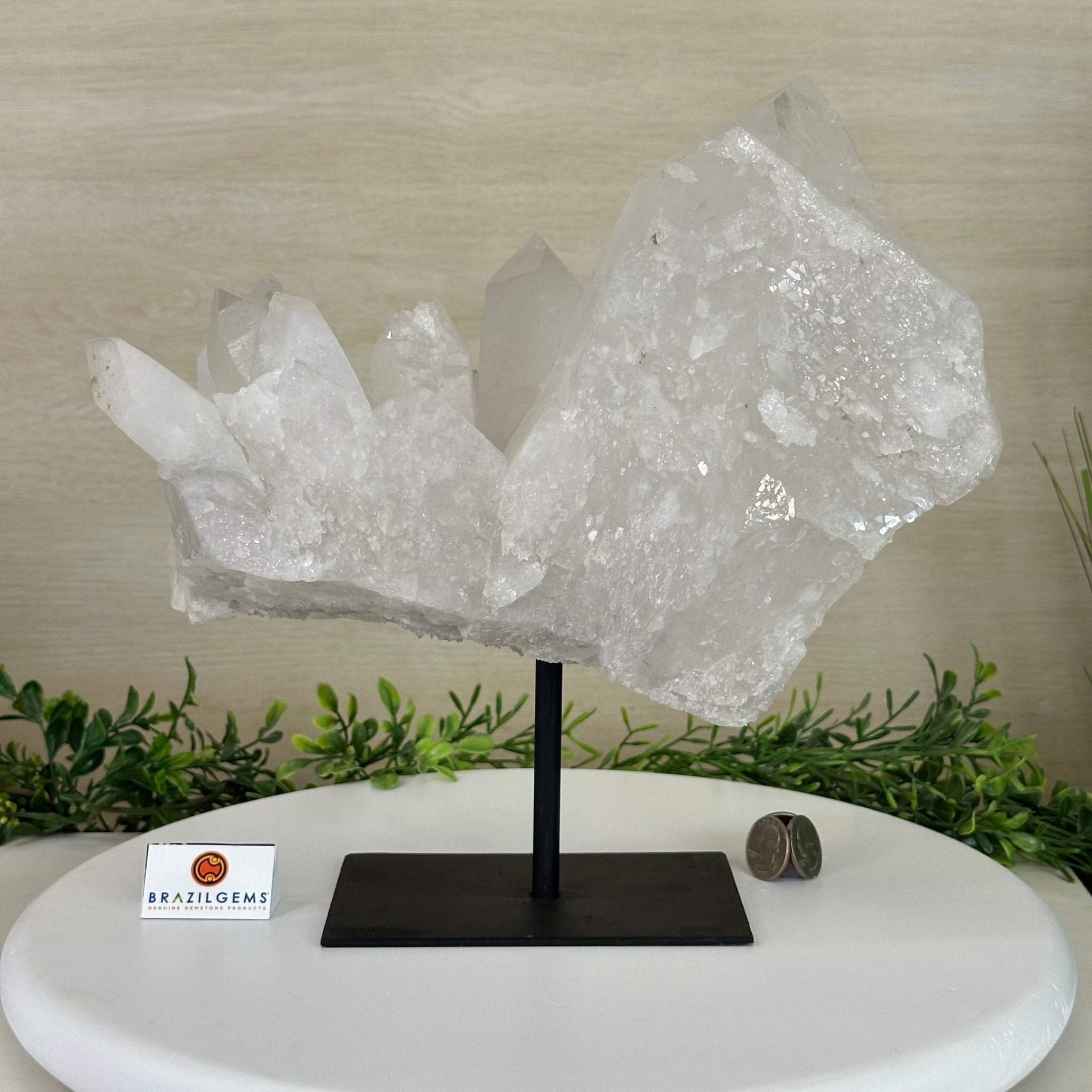 Clear Quartz Crystal Point on a Metal Stand, 13.6 lbs & 11.6" Tall #3122CQ - 037 - Brazil GemsBrazil GemsClear Quartz Crystal Point on a Metal Stand, 13.6 lbs & 11.6" Tall #3122CQ - 037Crystal Points3122CQ - 037