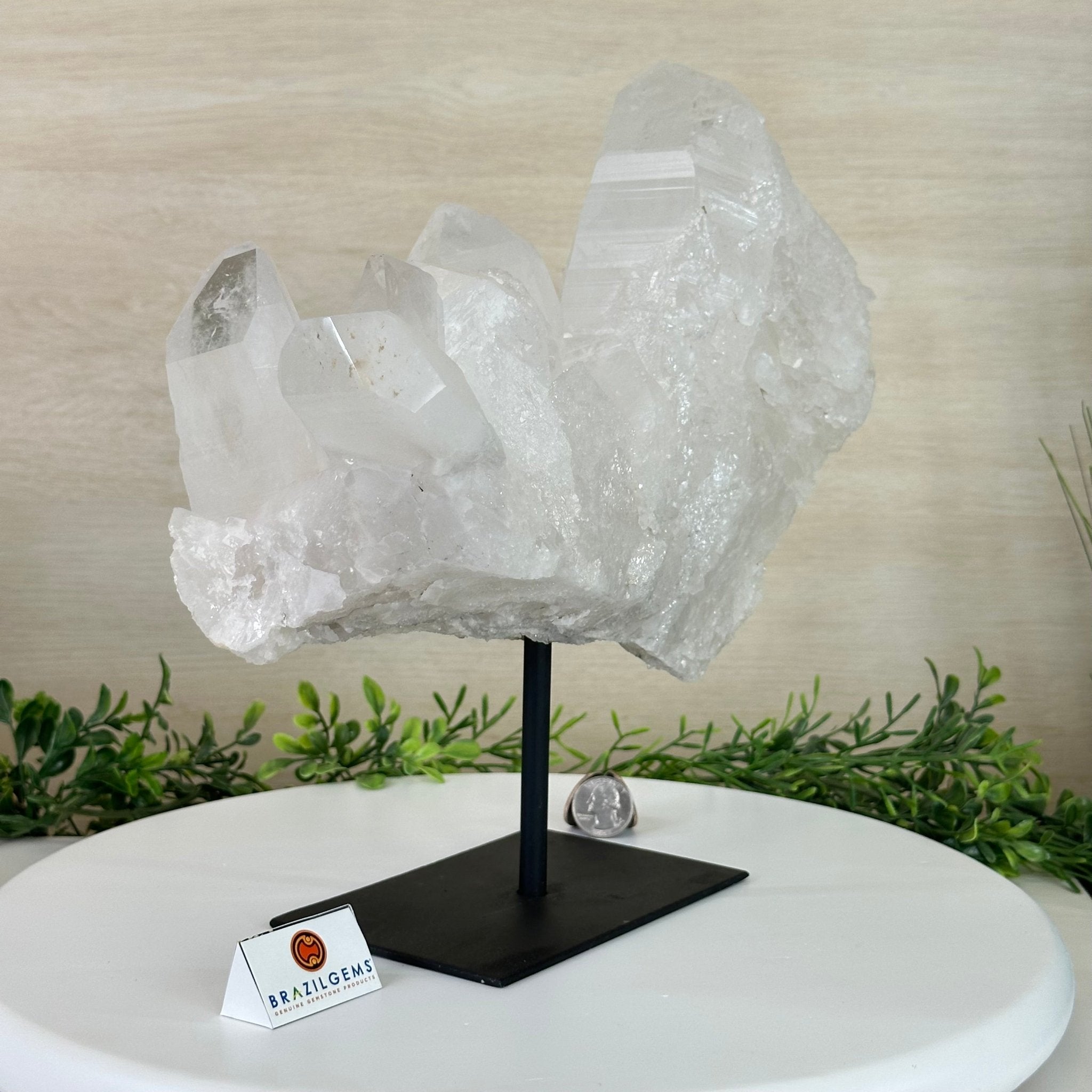 Clear Quartz Crystal Point on a Metal Stand, 13.6 lbs & 11.6" Tall #3122CQ - 037 - Brazil GemsBrazil GemsClear Quartz Crystal Point on a Metal Stand, 13.6 lbs & 11.6" Tall #3122CQ - 037Crystal Points3122CQ - 037