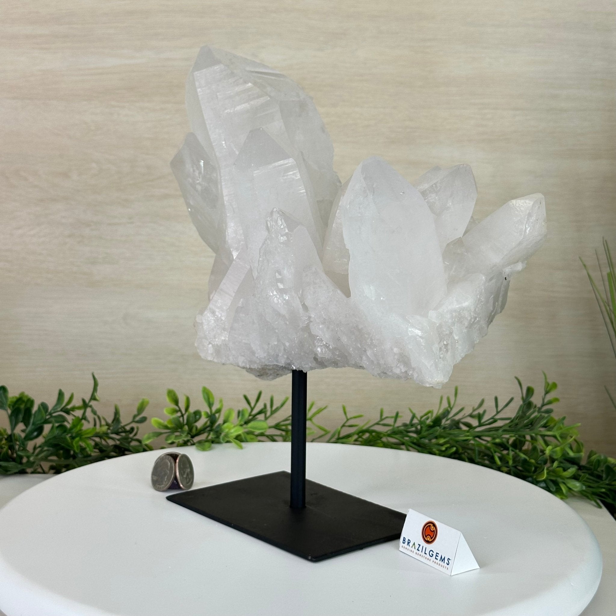 Clear Quartz Crystal Point on a Metal Stand, 13.6 lbs & 11.6" Tall #3122CQ - 037 - Brazil GemsBrazil GemsClear Quartz Crystal Point on a Metal Stand, 13.6 lbs & 11.6" Tall #3122CQ - 037Crystal Points3122CQ - 037