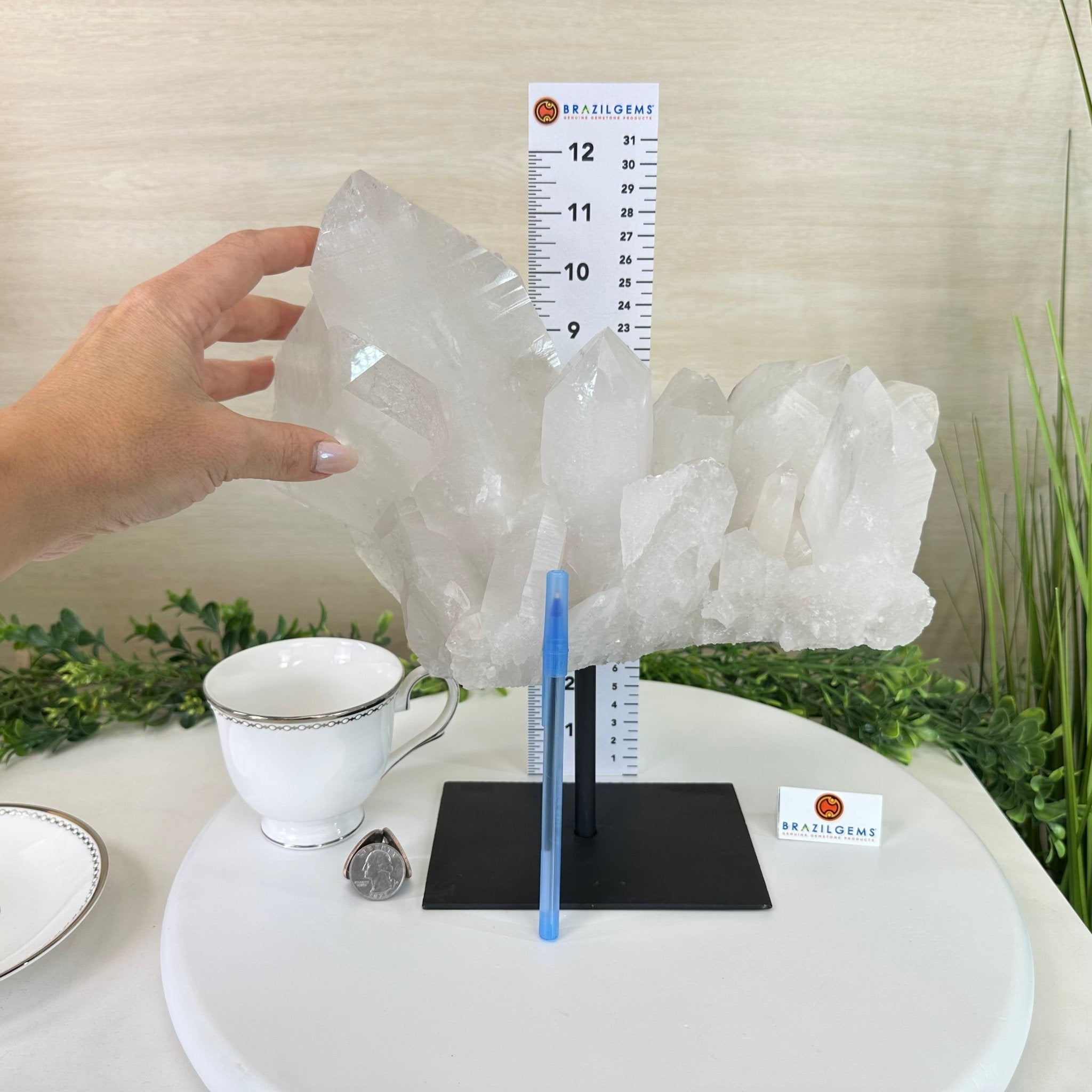 Clear Quartz Crystal Point on a Metal Stand, 13.6 lbs & 11.6" Tall #3122CQ - 037 - Brazil GemsBrazil GemsClear Quartz Crystal Point on a Metal Stand, 13.6 lbs & 11.6" Tall #3122CQ - 037Crystal Points3122CQ - 037
