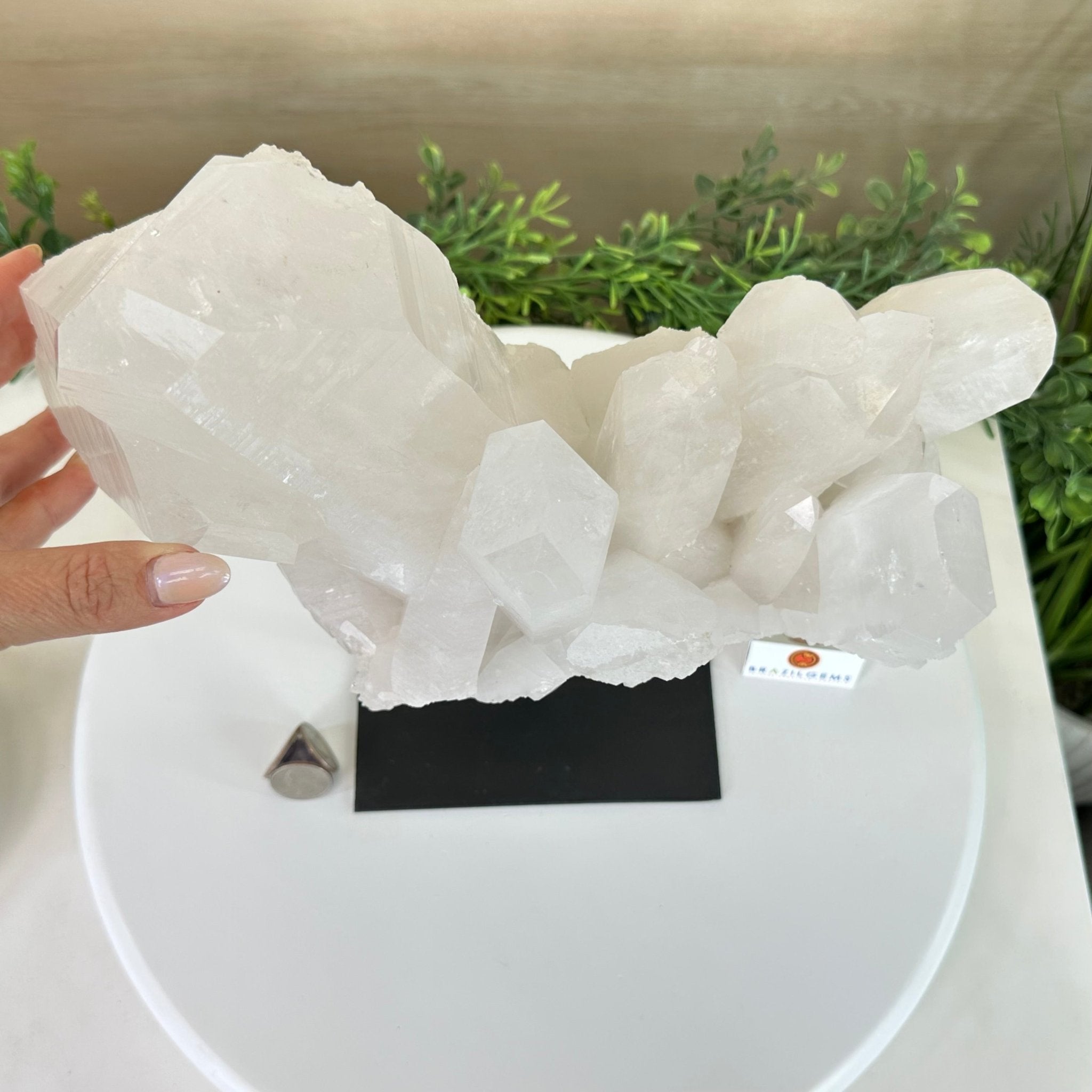 Clear Quartz Crystal Point on a Metal Stand, 13.6 lbs & 11.6" Tall #3122CQ - 037 - Brazil GemsBrazil GemsClear Quartz Crystal Point on a Metal Stand, 13.6 lbs & 11.6" Tall #3122CQ - 037Crystal Points3122CQ - 037