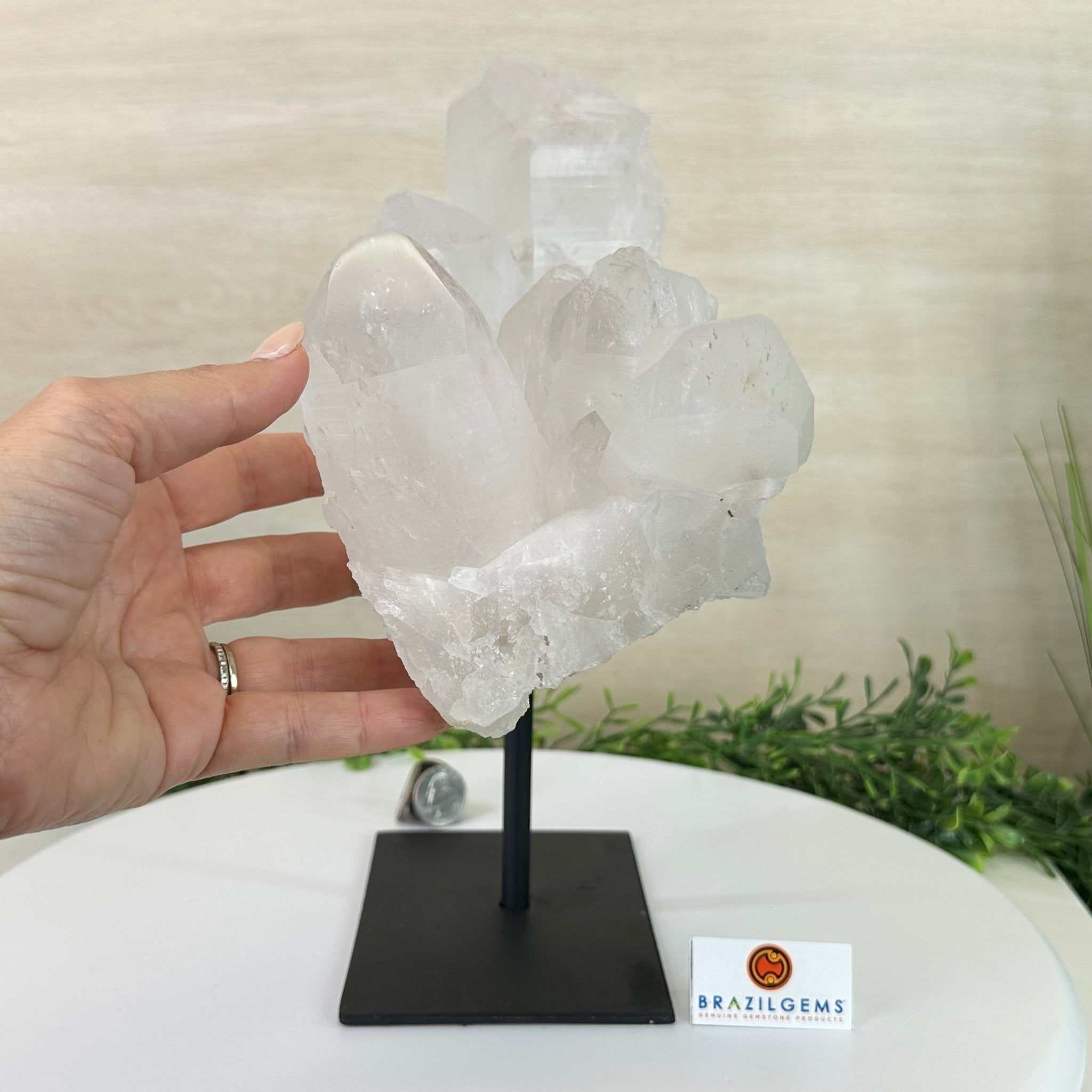Clear Quartz Crystal Point on a Metal Stand, 13.6 lbs & 11.6" Tall #3122CQ - 037 - Brazil GemsBrazil GemsClear Quartz Crystal Point on a Metal Stand, 13.6 lbs & 11.6" Tall #3122CQ - 037Crystal Points3122CQ - 037