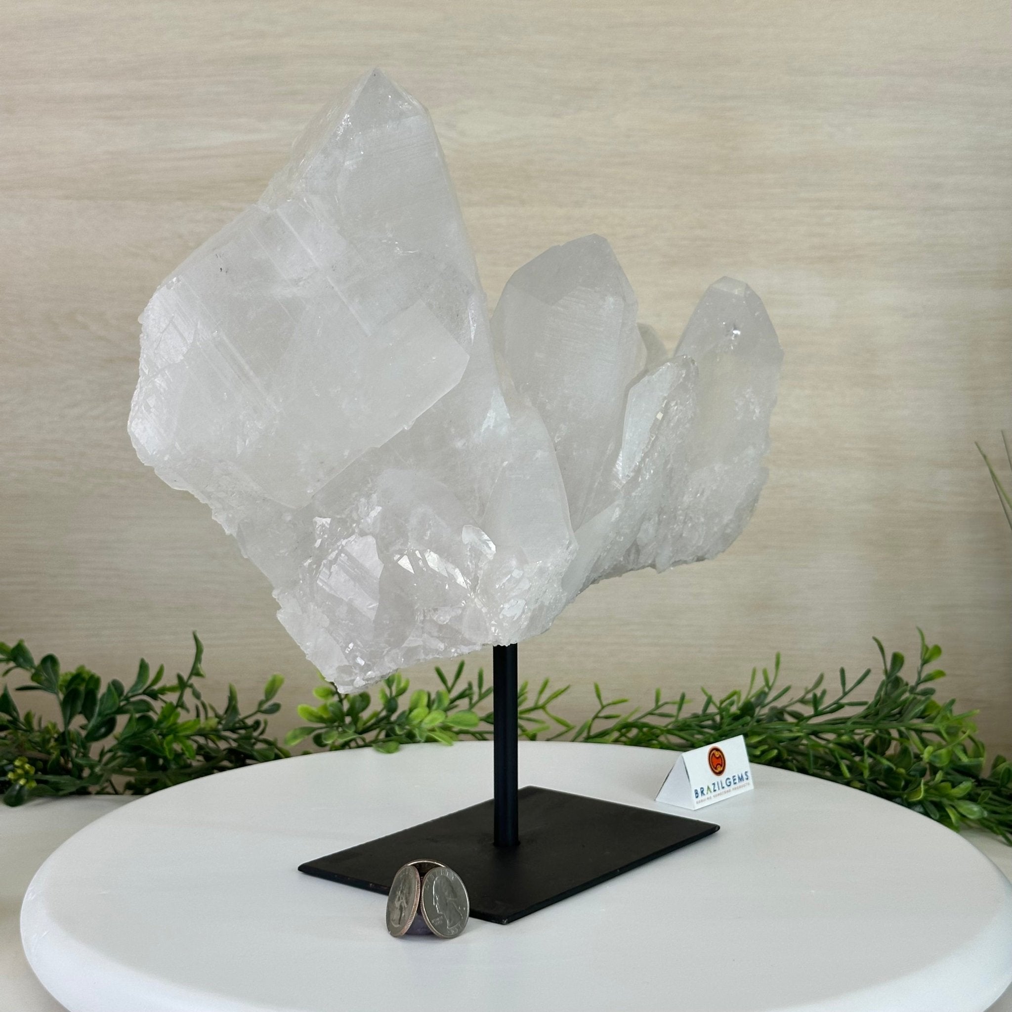 Clear Quartz Crystal Point on a Metal Stand, 13.6 lbs & 11.6" Tall #3122CQ - 037 - Brazil GemsBrazil GemsClear Quartz Crystal Point on a Metal Stand, 13.6 lbs & 11.6" Tall #3122CQ - 037Crystal Points3122CQ - 037