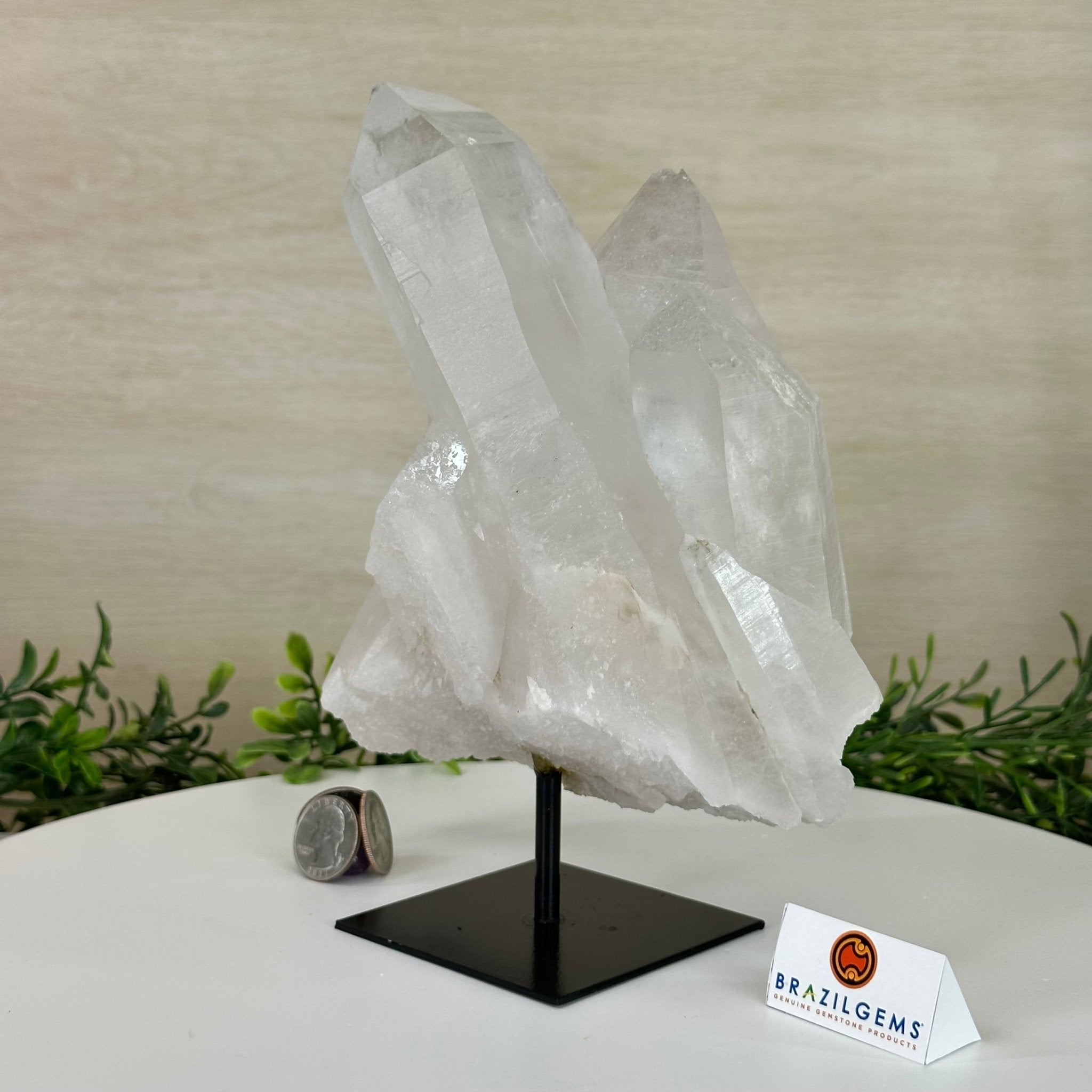 Clear Quartz Crystal Point on a Metal Stand, 5.9 lbs & 8.6" Tall #3122CQ - 035 - Brazil GemsBrazil GemsClear Quartz Crystal Point on a Metal Stand, 5.9 lbs & 8.6" Tall #3122CQ - 035Crystal Points3122CQ - 035