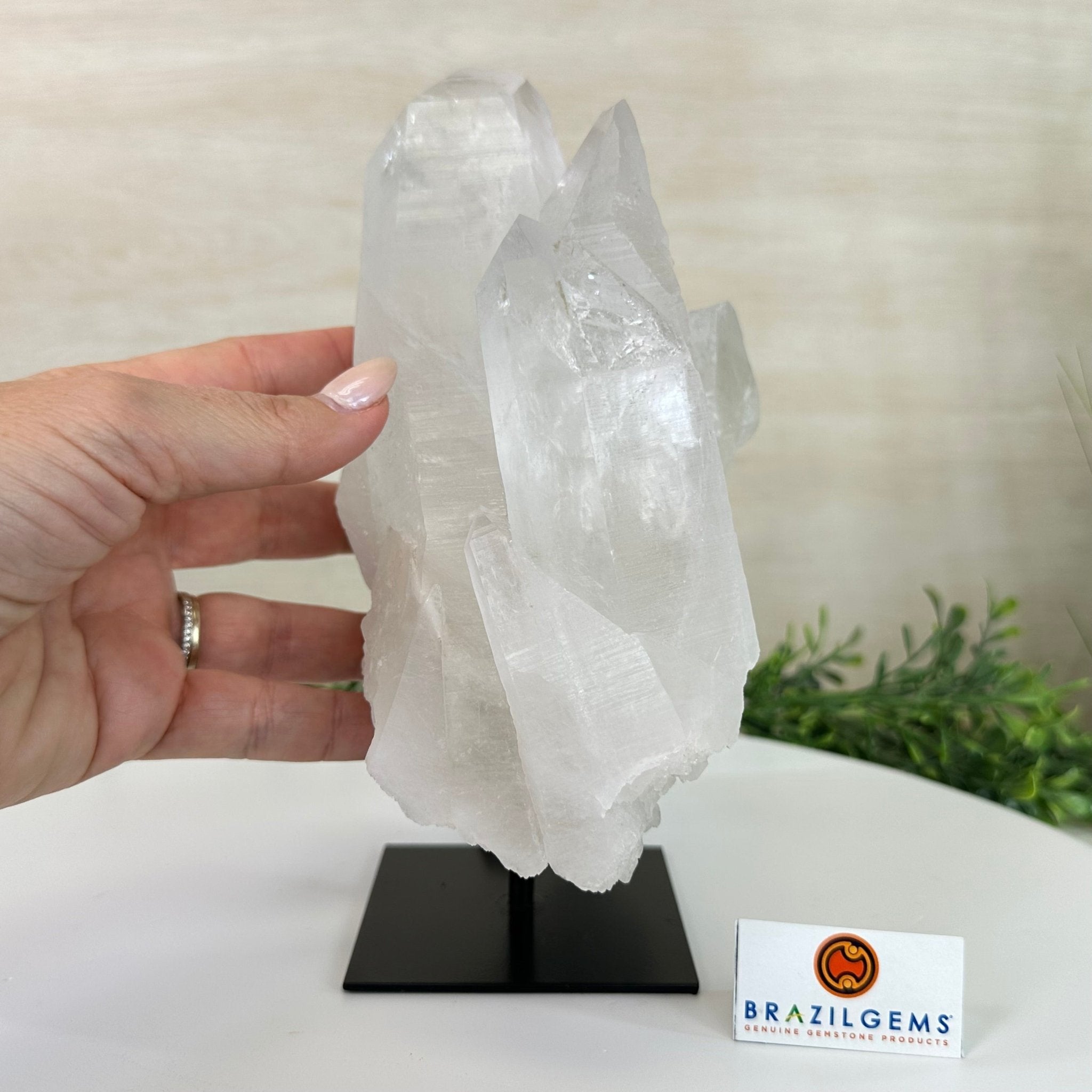 Clear Quartz Crystal Point on a Metal Stand, 5.9 lbs & 8.6" Tall #3122CQ - 035 - Brazil GemsBrazil GemsClear Quartz Crystal Point on a Metal Stand, 5.9 lbs & 8.6" Tall #3122CQ - 035Crystal Points3122CQ - 035