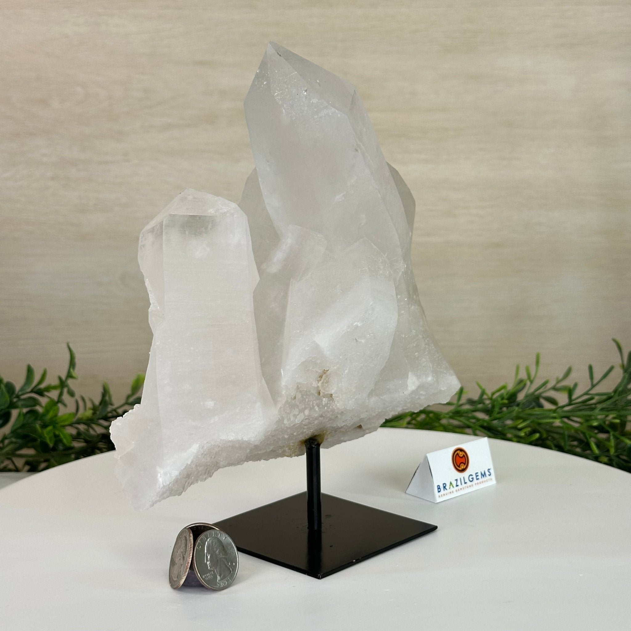 Clear Quartz Crystal Point on a Metal Stand, 5.9 lbs & 8.6" Tall #3122CQ - 035 - Brazil GemsBrazil GemsClear Quartz Crystal Point on a Metal Stand, 5.9 lbs & 8.6" Tall #3122CQ - 035Crystal Points3122CQ - 035