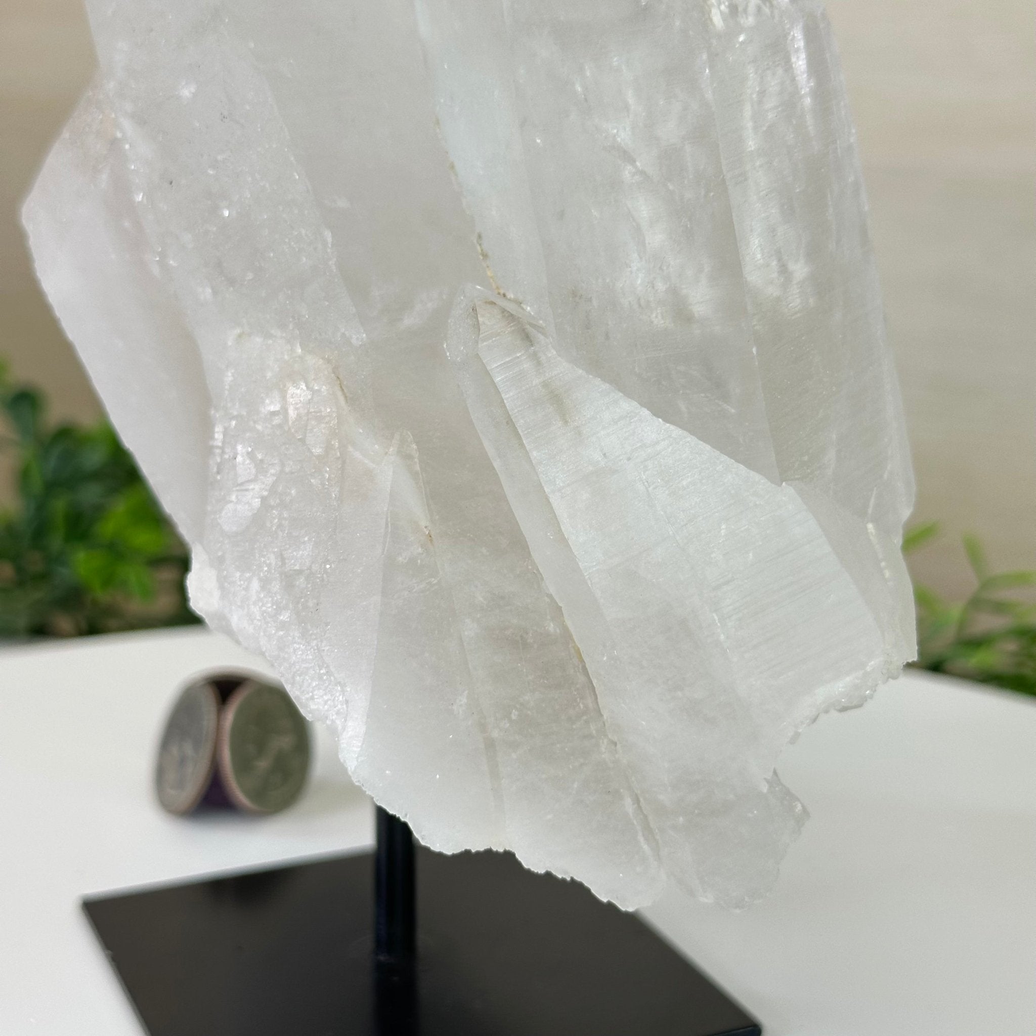 Clear Quartz Crystal Point on a Metal Stand, 5.9 lbs & 8.6" Tall #3122CQ - 035 - Brazil GemsBrazil GemsClear Quartz Crystal Point on a Metal Stand, 5.9 lbs & 8.6" Tall #3122CQ - 035Crystal Points3122CQ - 035