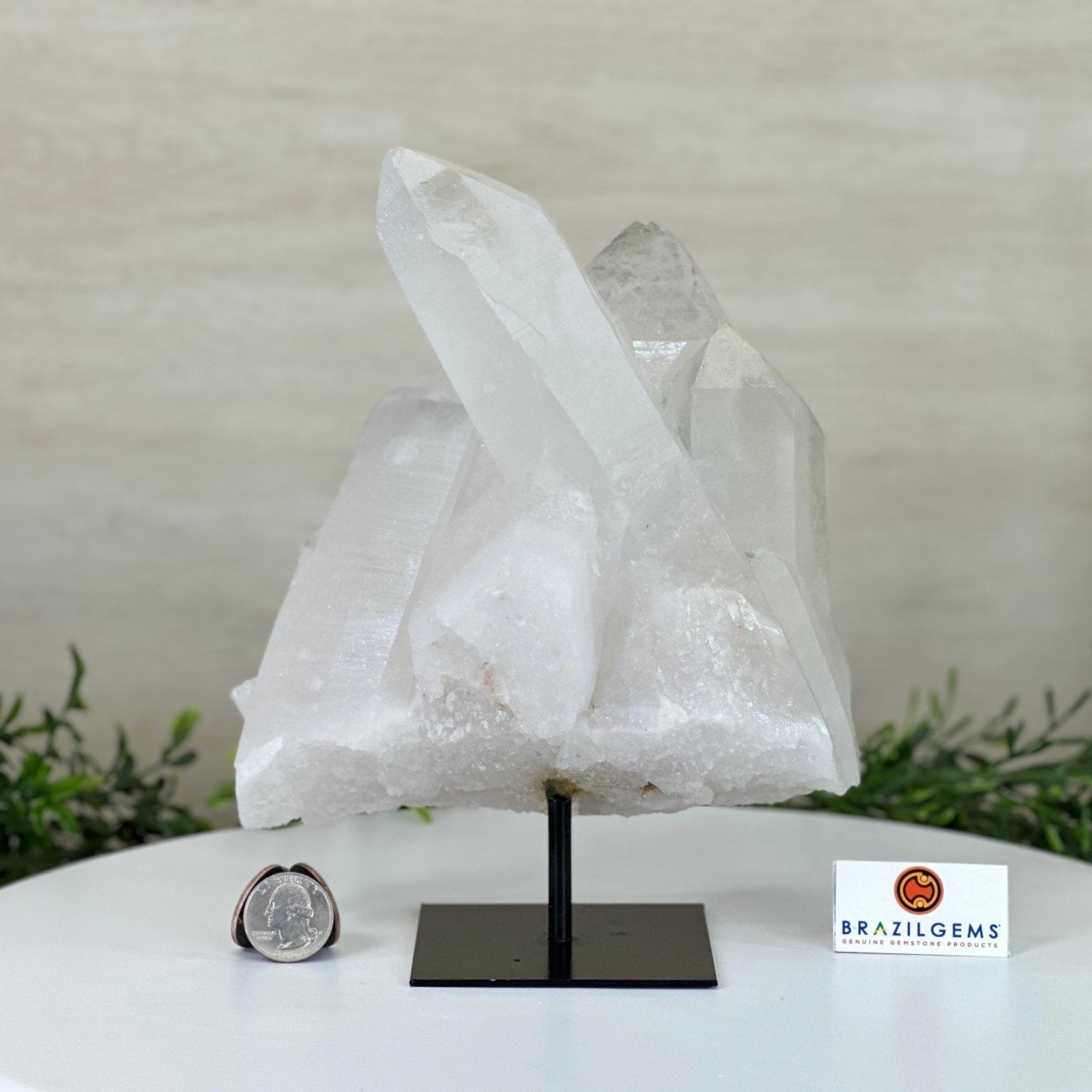 Clear Quartz Crystal Point on a Metal Stand, 5.9 lbs & 8.6" Tall #3122CQ - 035 - Brazil GemsBrazil GemsClear Quartz Crystal Point on a Metal Stand, 5.9 lbs & 8.6" Tall #3122CQ - 035Crystal Points3122CQ - 035
