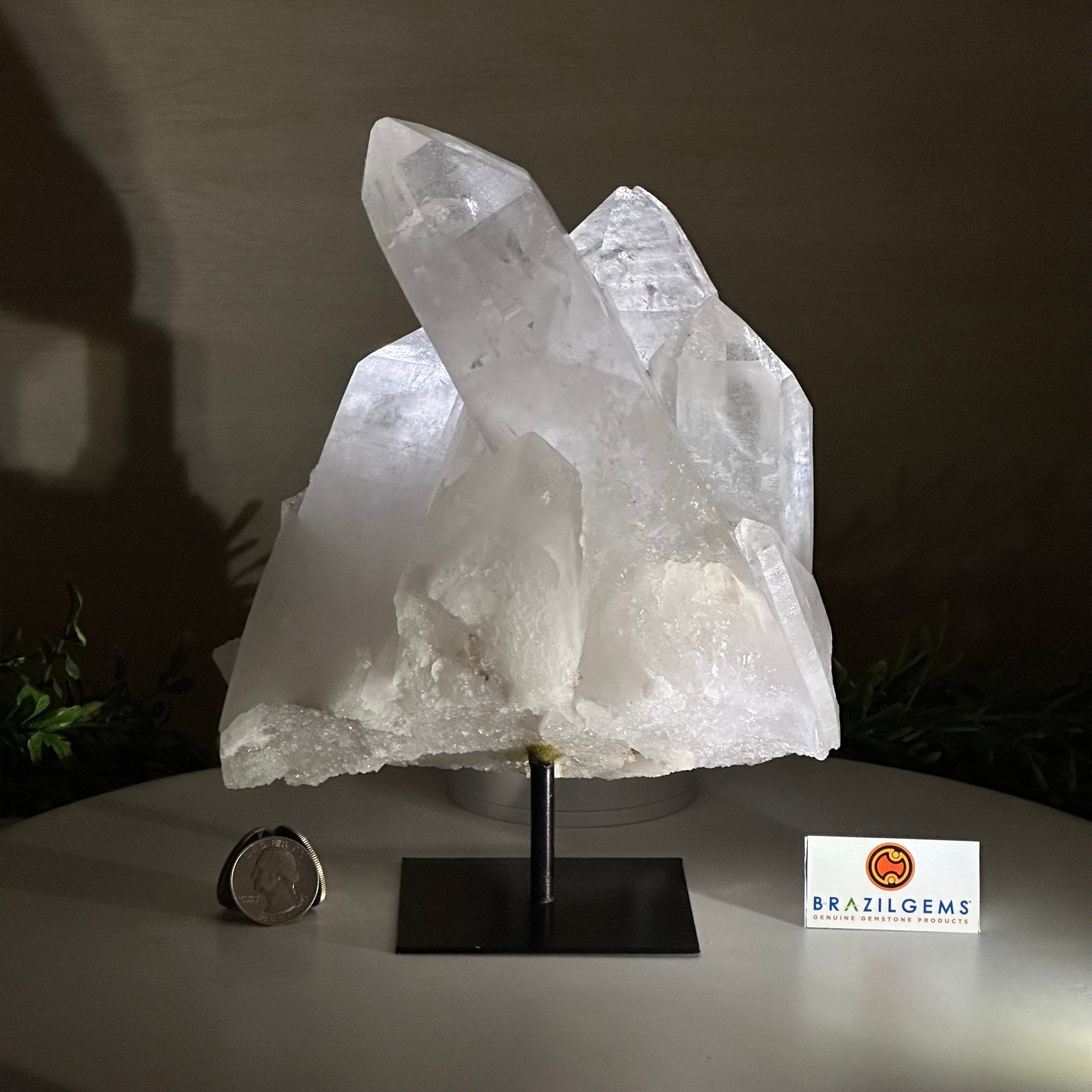 Clear Quartz Crystal Point on a Metal Stand, 5.9 lbs & 8.6" Tall #3122CQ - 035 - Brazil GemsBrazil GemsClear Quartz Crystal Point on a Metal Stand, 5.9 lbs & 8.6" Tall #3122CQ - 035Crystal Points3122CQ - 035