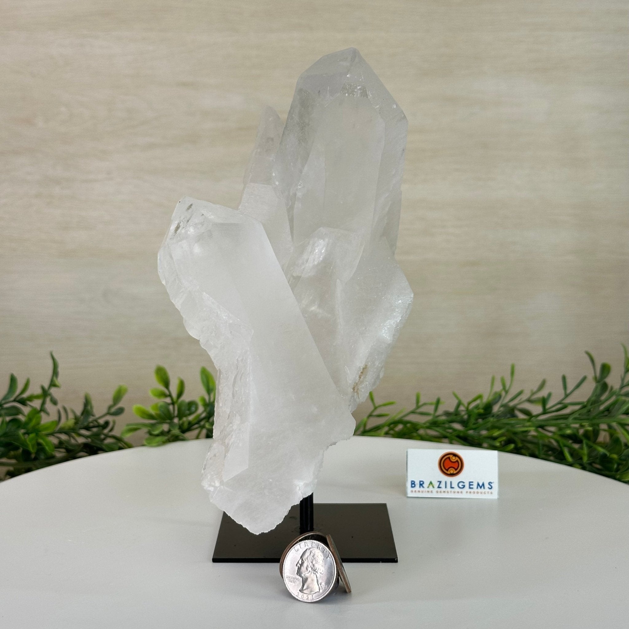 Clear Quartz Crystal Point on a Metal Stand, 5.9 lbs & 8.6" Tall #3122CQ - 035 - Brazil GemsBrazil GemsClear Quartz Crystal Point on a Metal Stand, 5.9 lbs & 8.6" Tall #3122CQ - 035Crystal Points3122CQ - 035