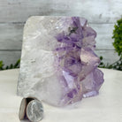 Drusy Amethyst Night Light 4 lbs & 4.4" Tall #5800AM-012 - Brazil GemsBrazil GemsDrusy Amethyst Night Light 4 lbs & 4.4" Tall #5800AM-012Night Lights5800AM-012