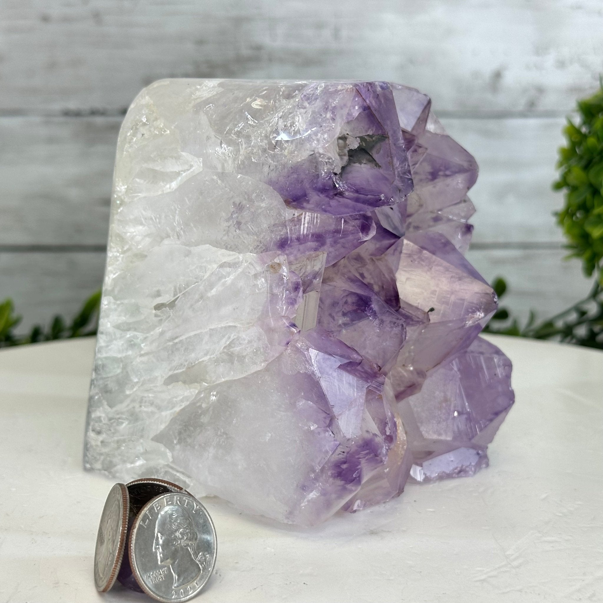 Drusy Amethyst Night Light 4 lbs & 4.4" Tall #5800AM-012 - Brazil GemsBrazil GemsDrusy Amethyst Night Light 4 lbs & 4.4" Tall #5800AM-012Night Lights5800AM-012